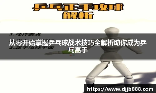 从零开始掌握乒乓球战术技巧全解析助你成为乒乓高手